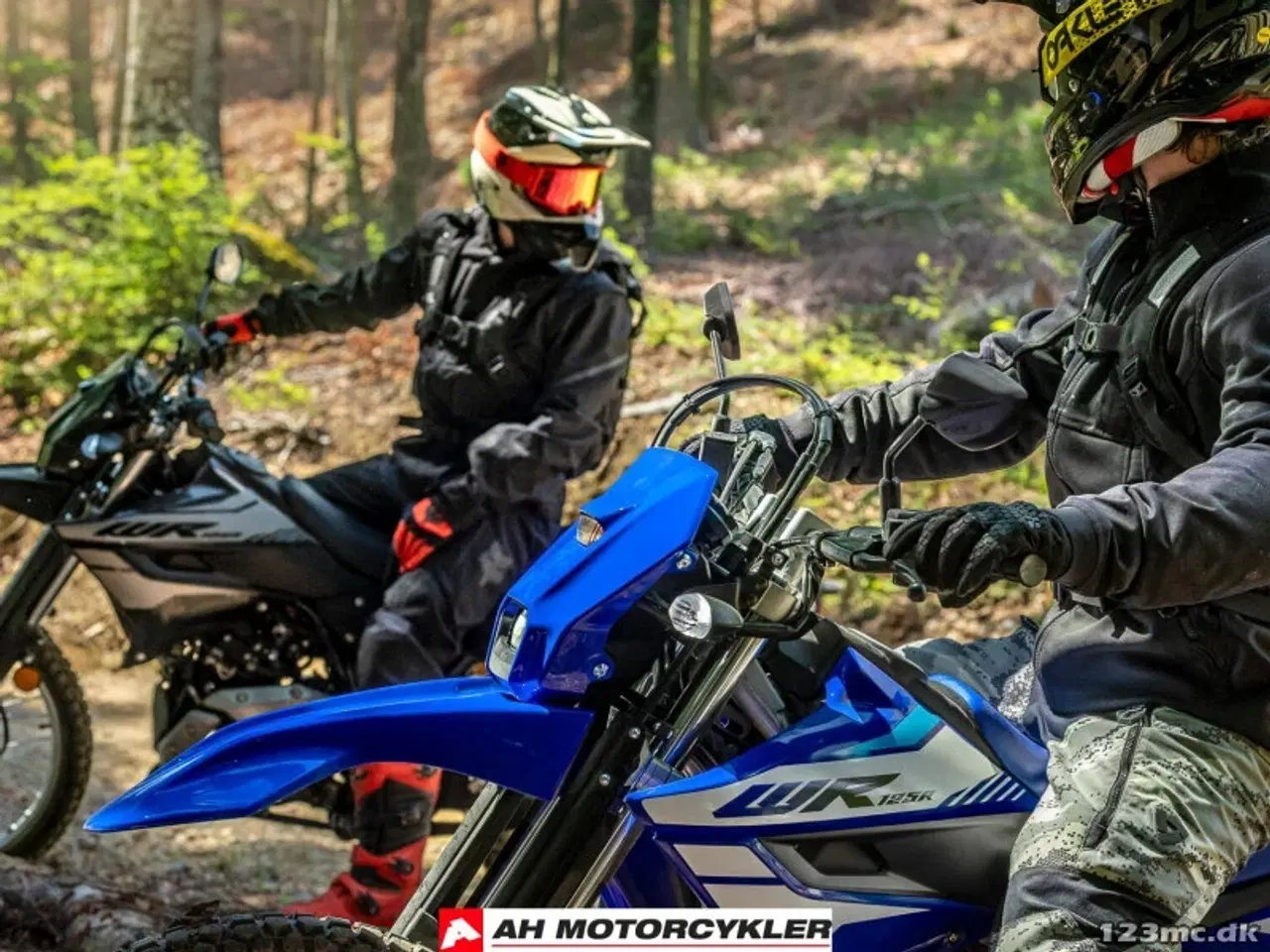 Billede 11 - Yamaha WR 125 R Icon Blue