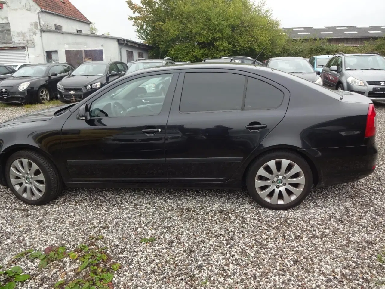 Billede 3 - Skoda Octavia 1,6 TDi 105 Ambition GreenLine