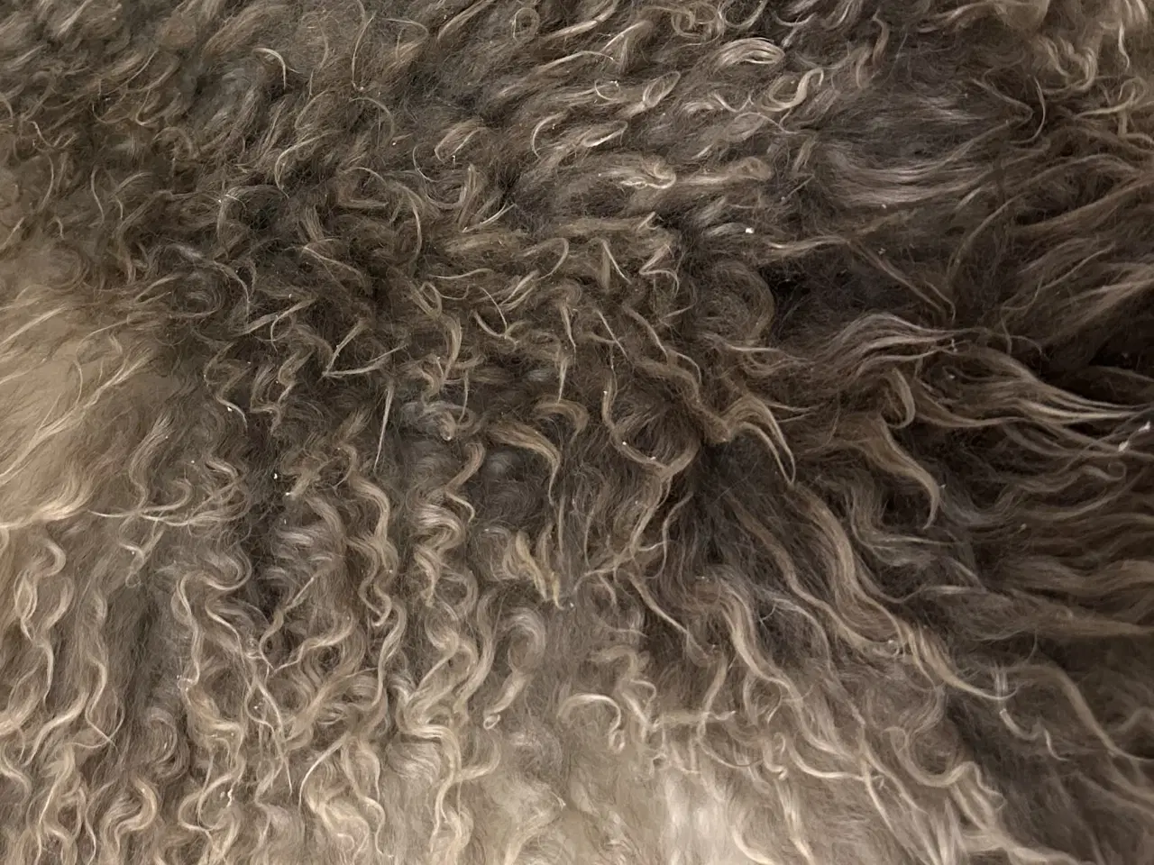 Billede 4 - Helt nyt dansk lammeskind