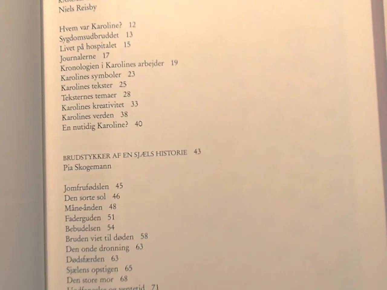 Billede 4 - Karolines bog. Af Niels Reisby og Pia Skogemann