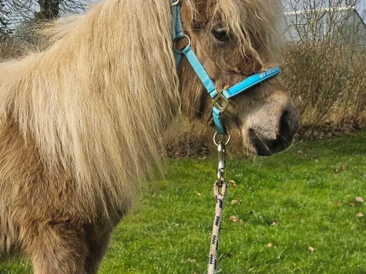 Billede 2 - 2 unikke drenge med fuld tavle 