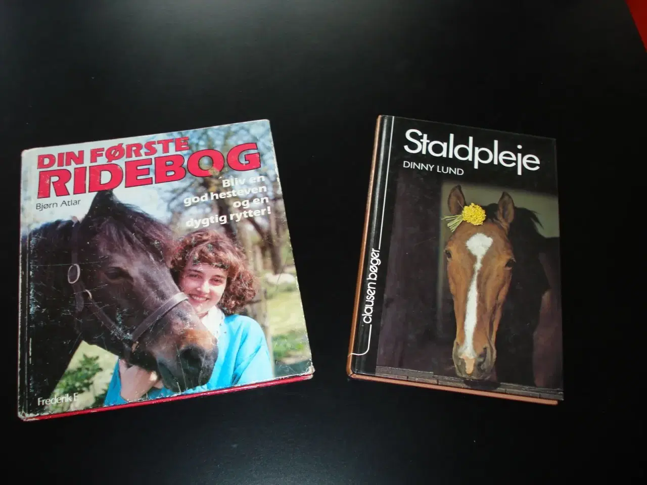 Billede 1 - Bøger om heste og ridning