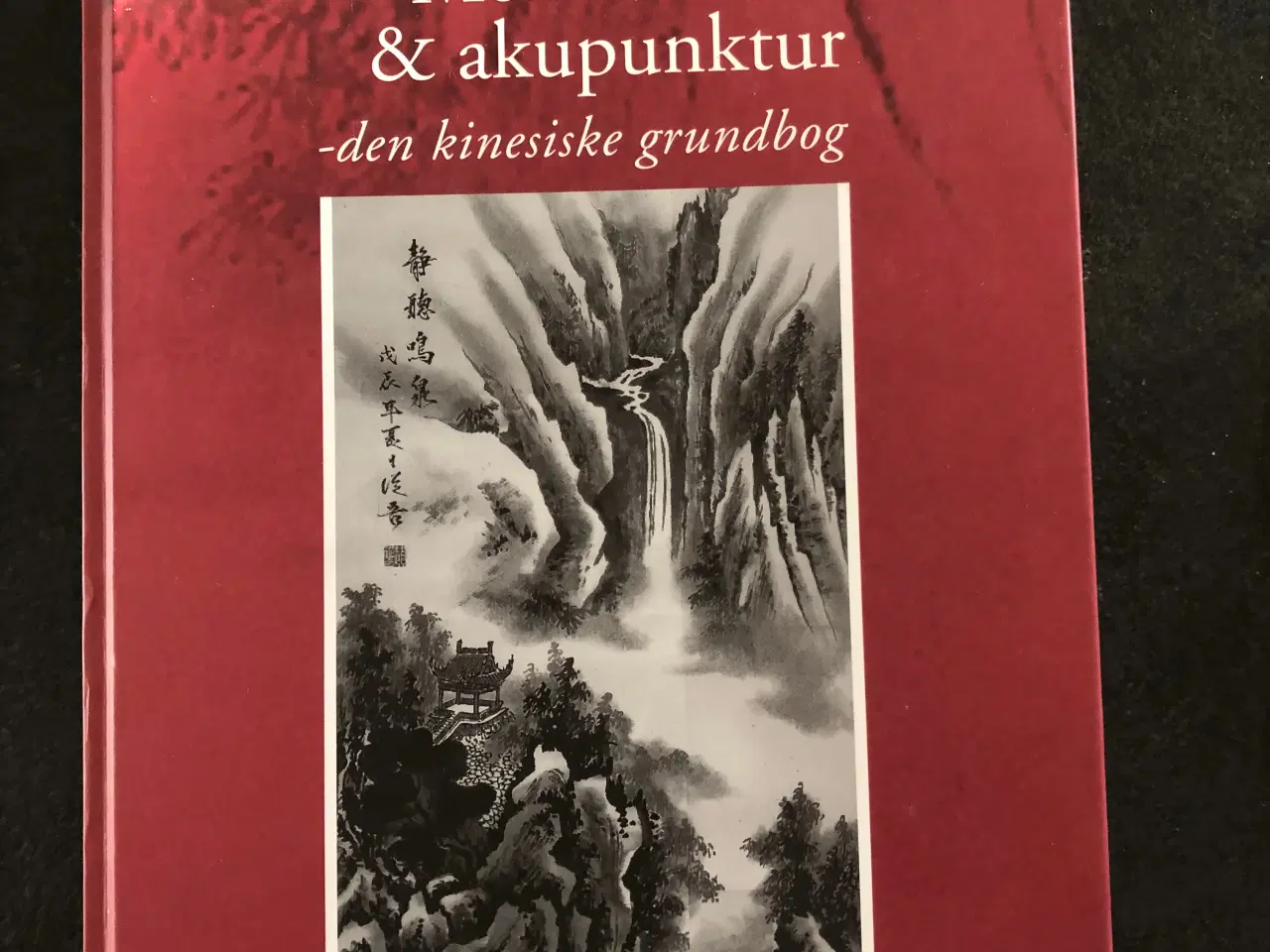 Billede 2 - Akupuntur grundbog på dansk