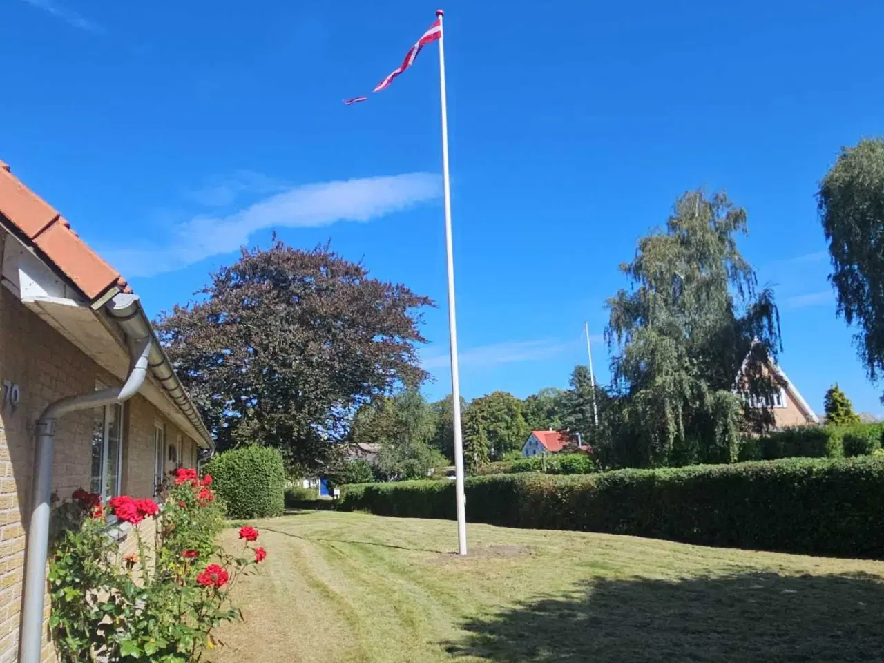 Billede 3 - Nedlagt landejendom på Lolland 