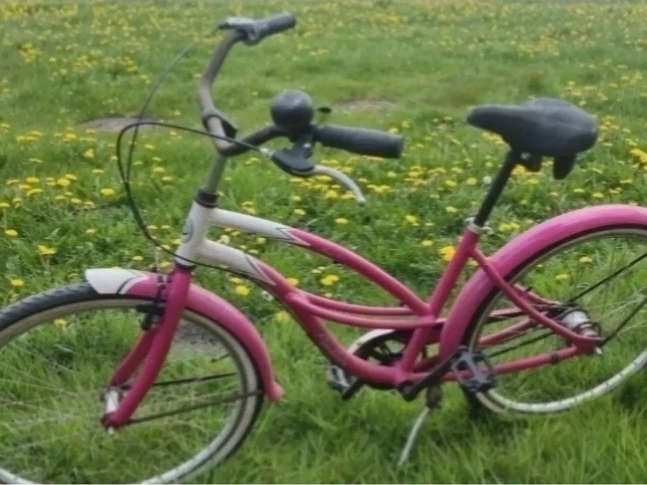 Billede 8 - Fler forskellige Sjov Taxa/BUD/TOMS/Cola Cykler Fo