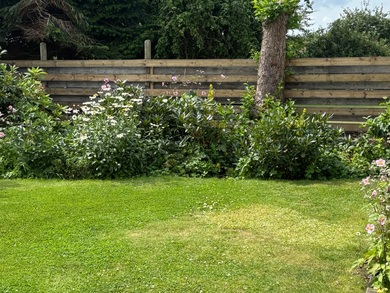 Billede 1 - Terrassebrædder trykimprægnerede