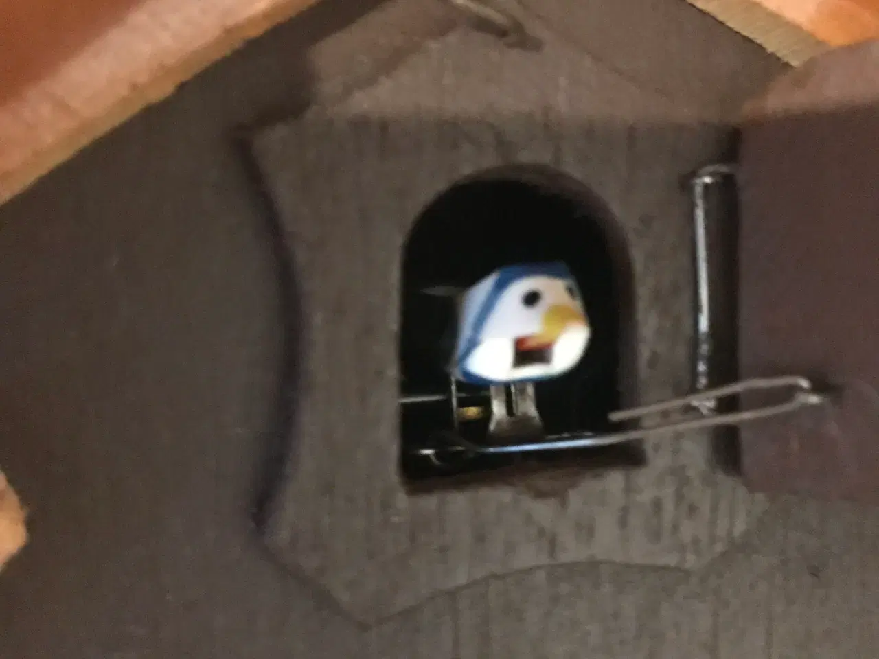 Billede 2 - Pæn og velholdt kukur