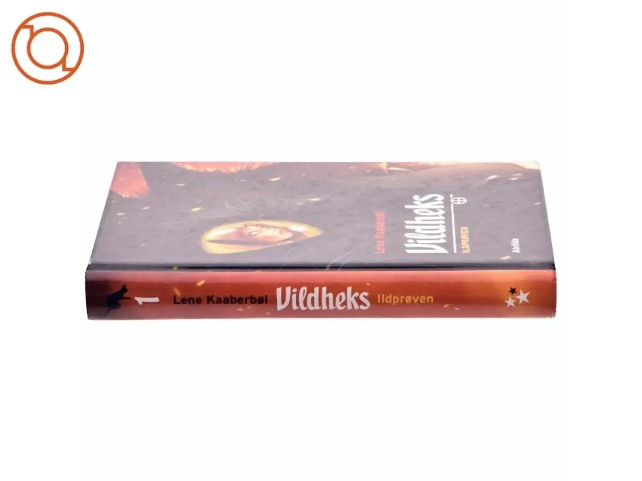 Billede 2 - Vildheks. Bind 1, Ildprøven af Lene Kaaberbøl (Bog)