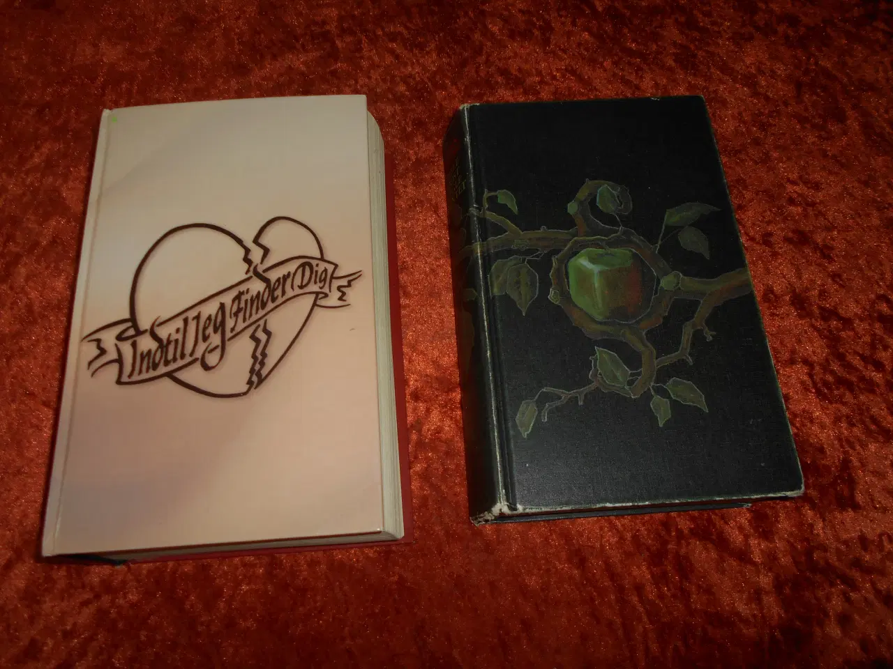 Billede 7 - Hotel New Hampshire m.fl, John Irving