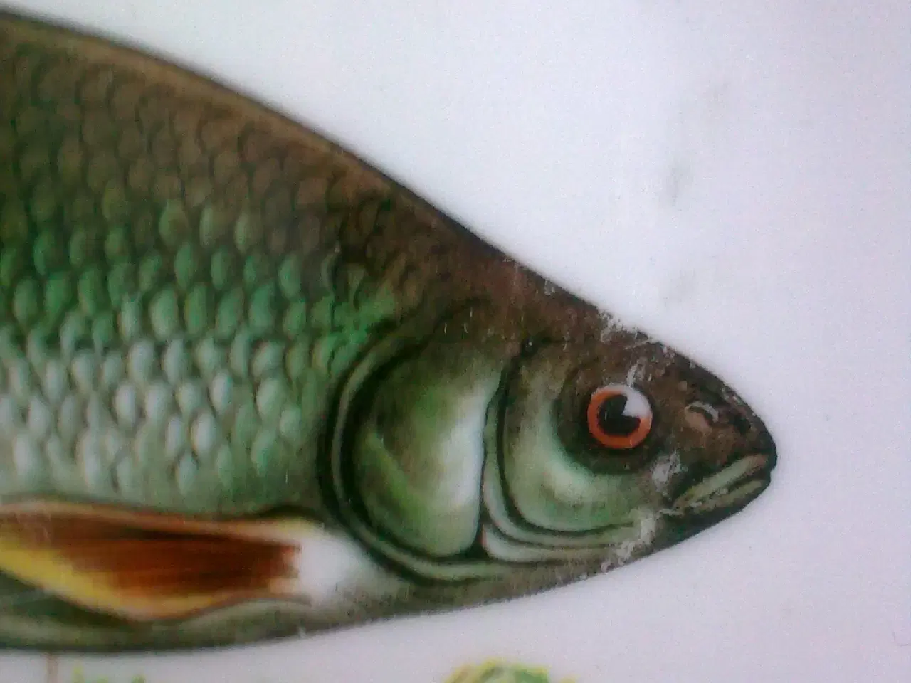 Billede 11 - Frokost fisk T2 sjov sild hygge tallerken sæt