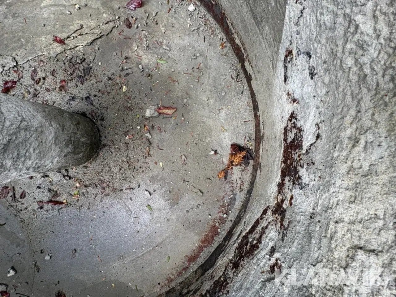 Billede 12 - Tvangsblander Baron E-300