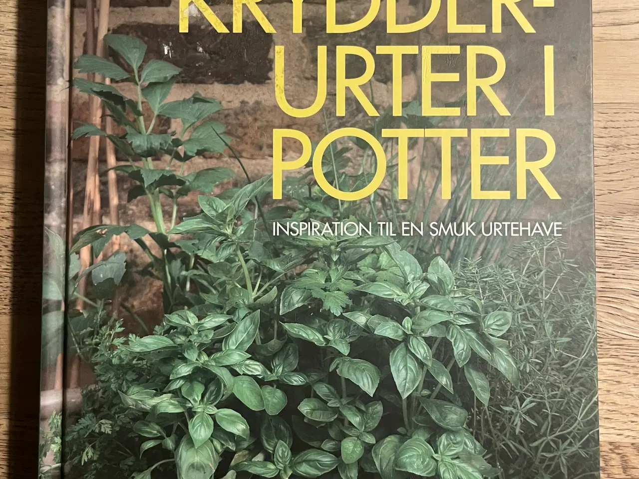 Billede 1 - Krydderurter i potter, Deborah Schneebeli-Morrell