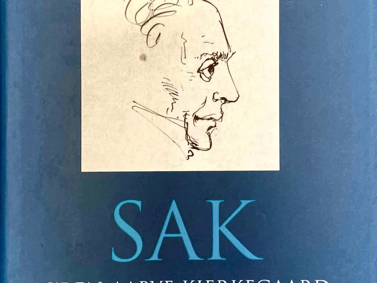 Billede 1 - SAK Søren Aabye Kierkegaard - Joakim Garff