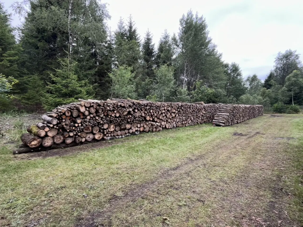 Billede 3 - 20 rm brænde (løv) inkl. levering 