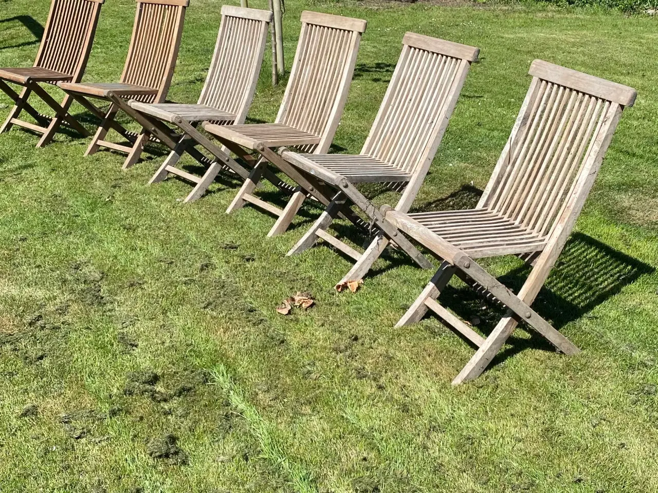 Billede 1 - Teaktræ’s have stole 6 stk