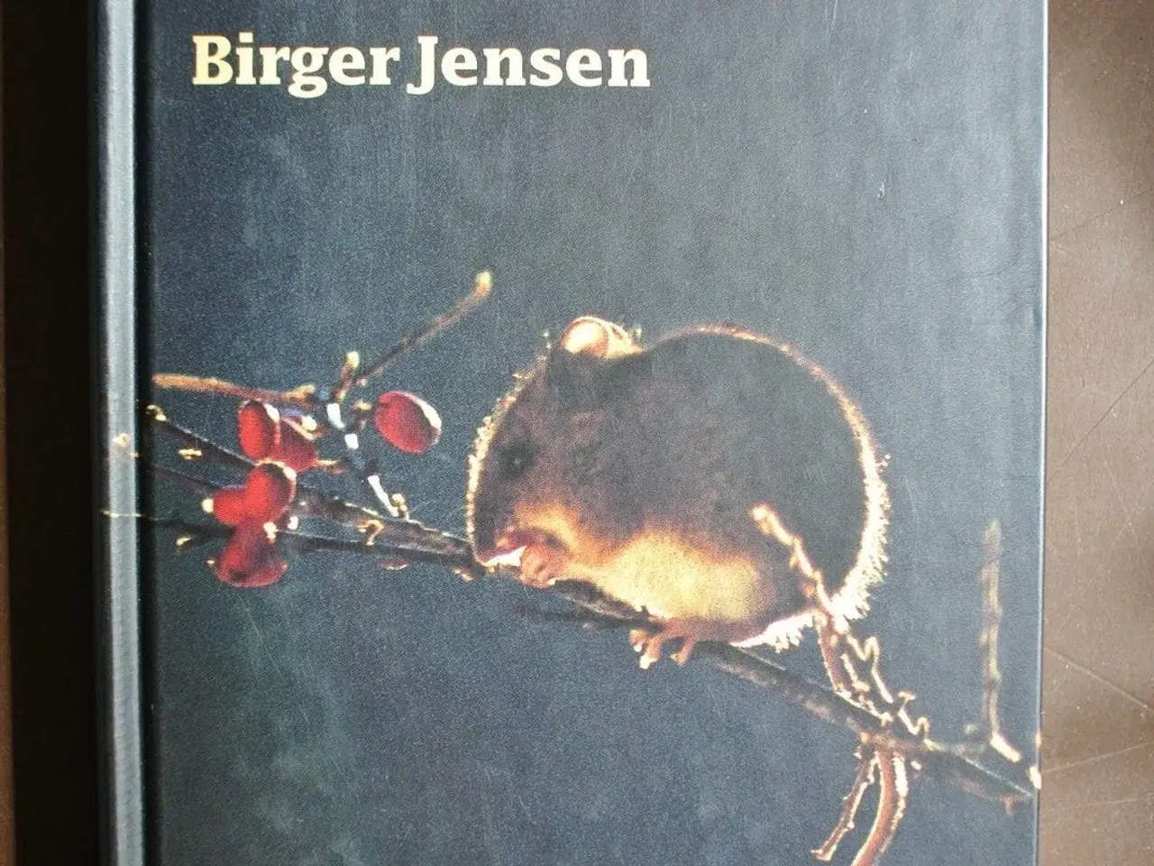 Billede 1 - nordens pattedyr , af birger jensen plancher af st