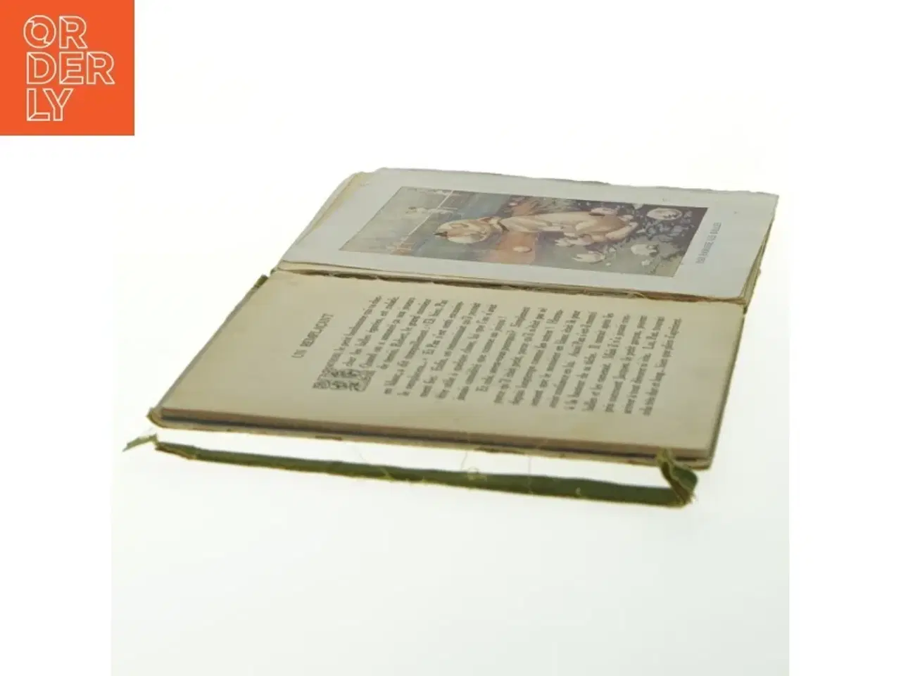 Billede 9 - Nos Bébés Chiens af G.E. Studdy fra Librairie Hachette (str. 17 x. 13 cm) (Bog)