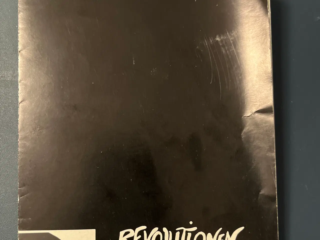 Billede 1 - Revolutionen i vandkanten 