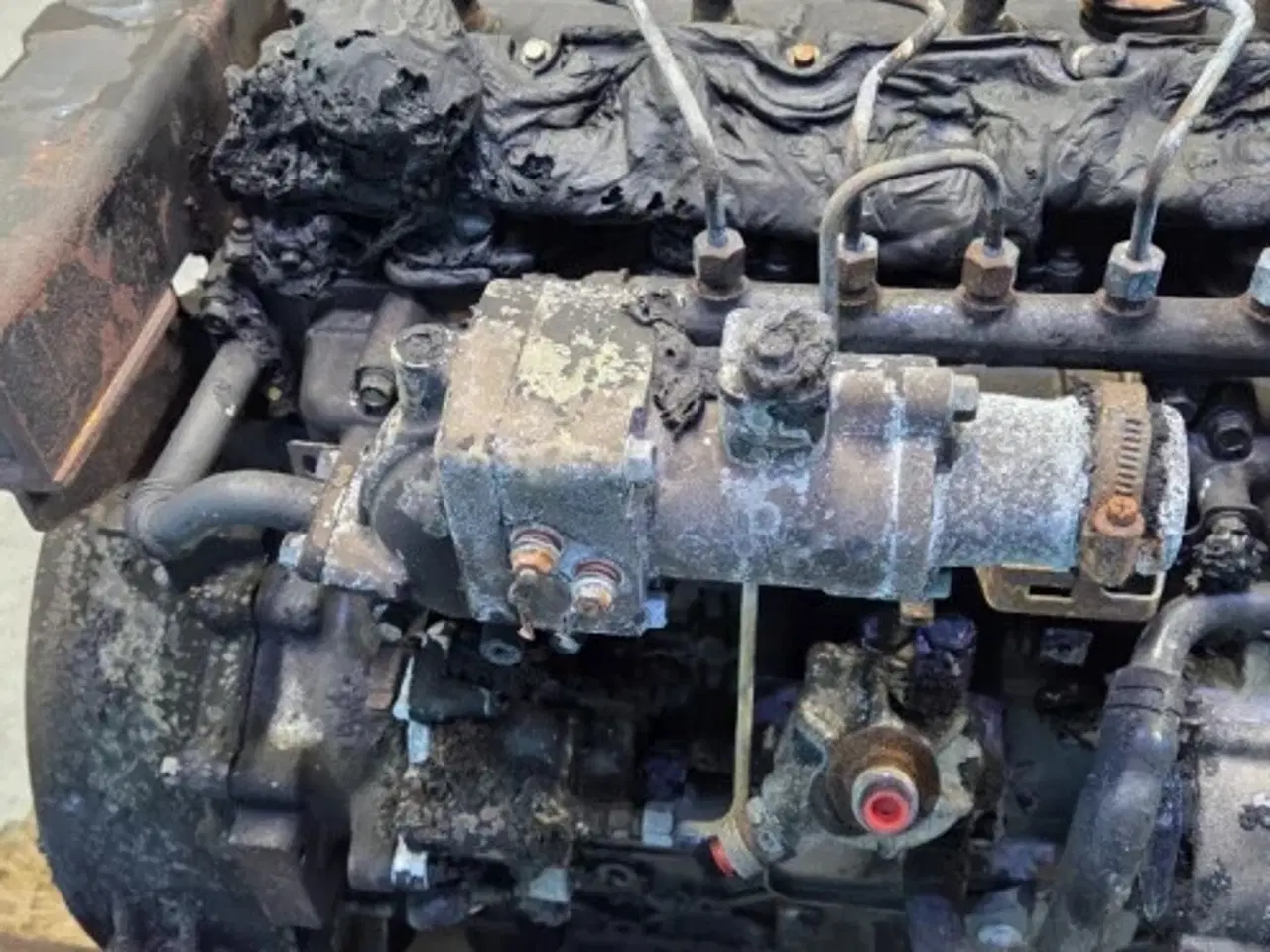 Billede 15 - Bobcat TL38.70X D34  Motor  7032144