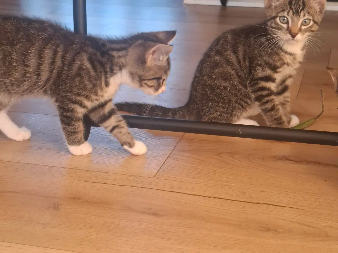 Billede 2 - 3 søde drenge