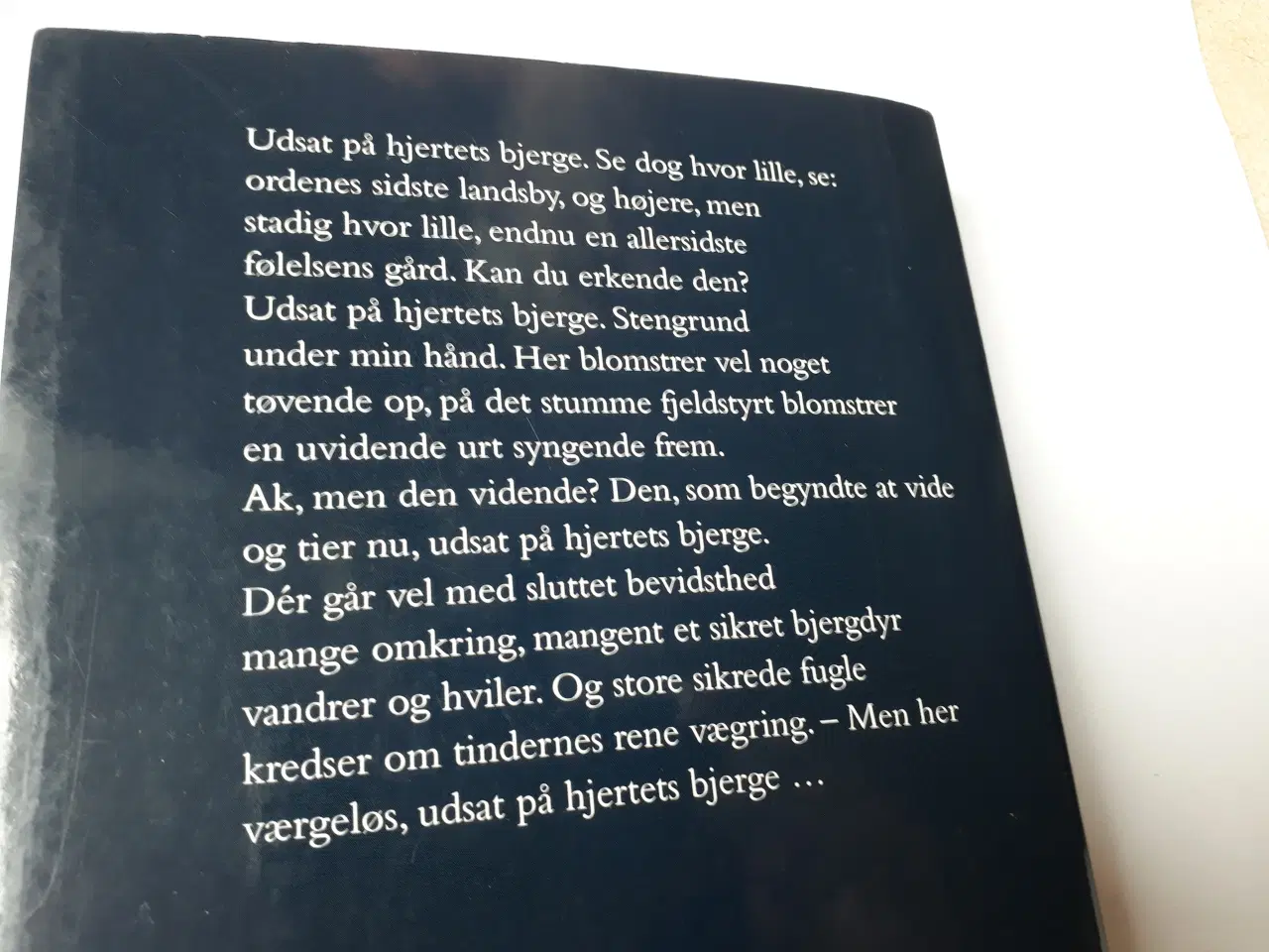 Billede 5 - Rainer Maria Rilke - Udsat på hjertets bjerge
