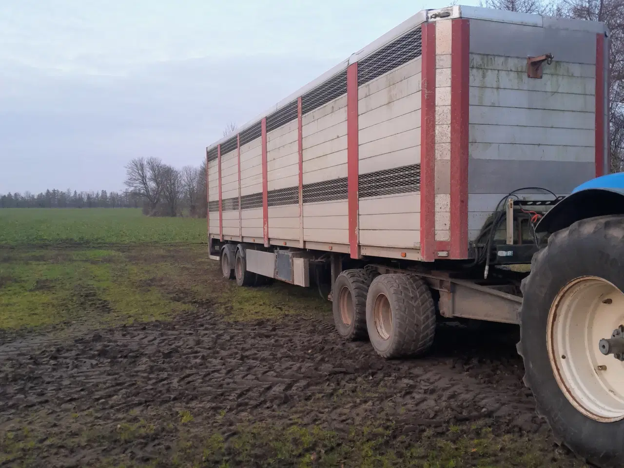 Billede 2 - HFR Grisetrailer med 2 dæk.