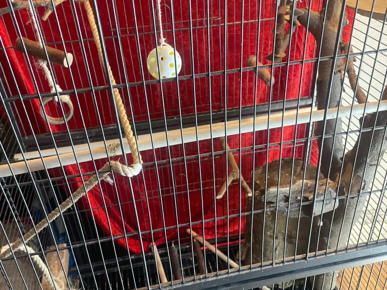 Billede 3 - Stort Fugle bur - lod