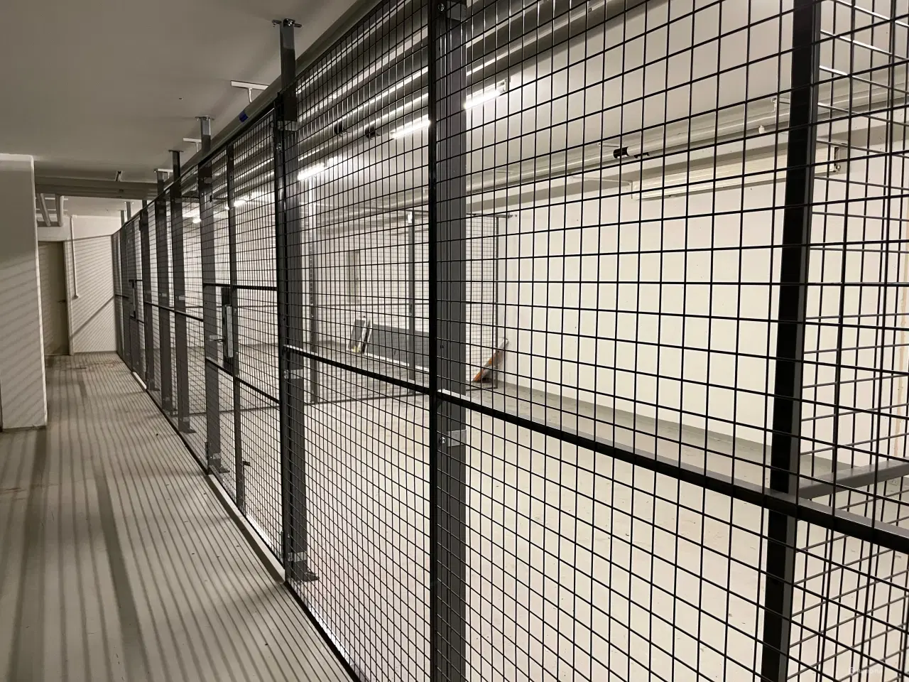 Billede 5 - BUCH STORAGE – billige lagerlokaler på fair betingelser