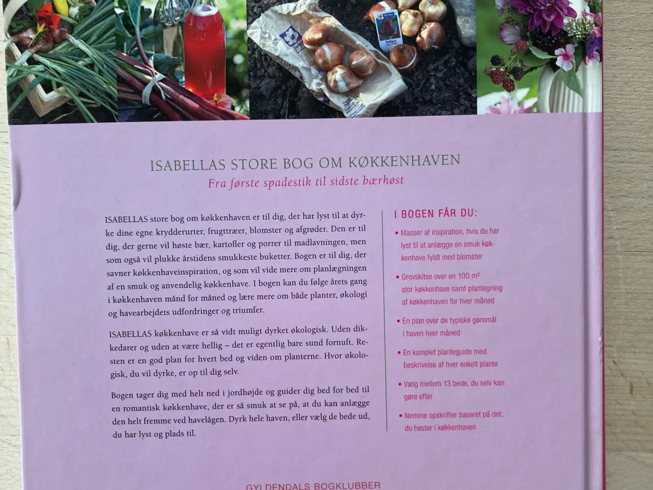 Billede 2 - Isabellas store bog om køkkenhaven, Isabellas