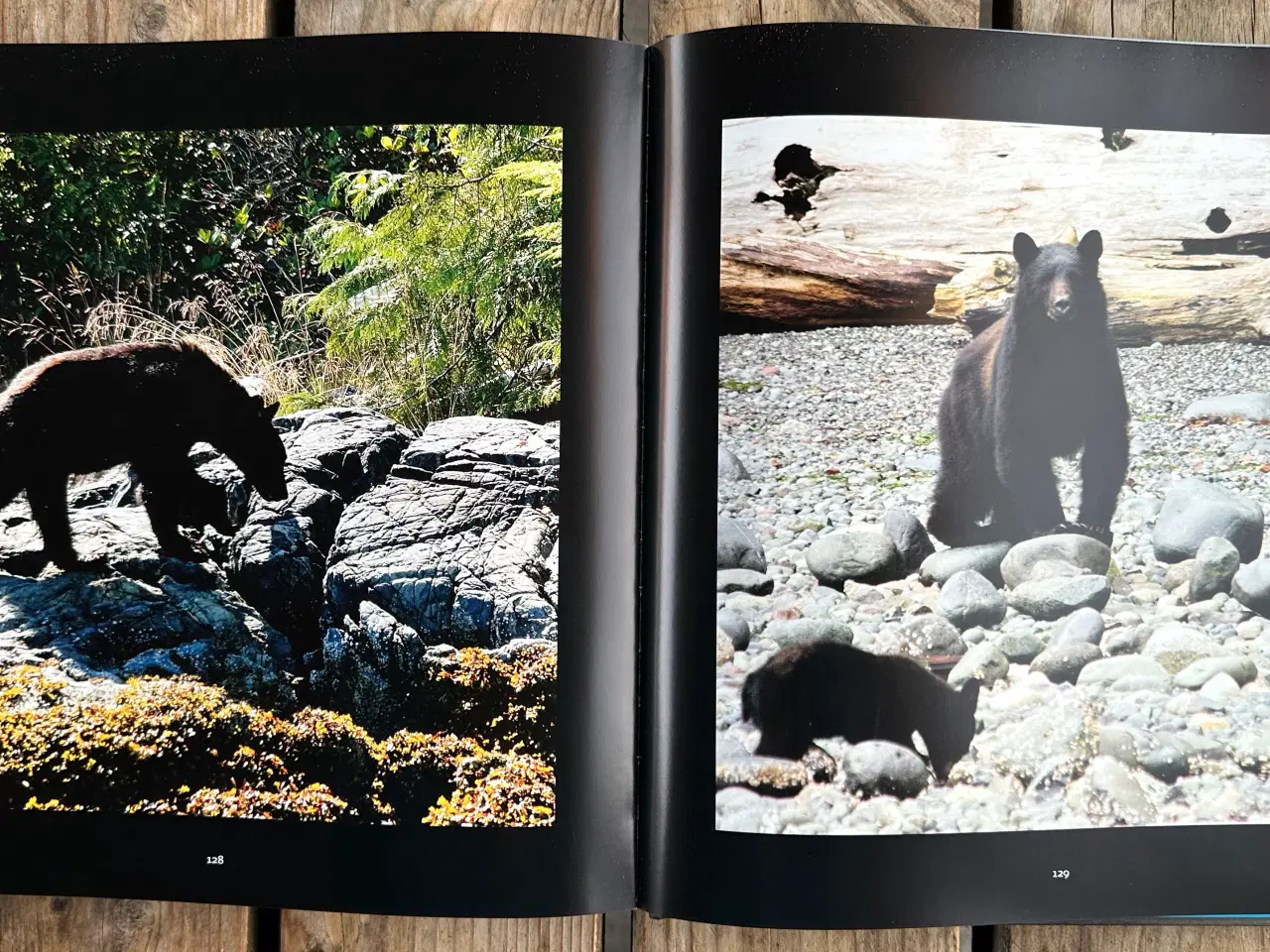 Billede 6 - Wonders of Nature, Jannie Nikola, Dansk og Engelsk