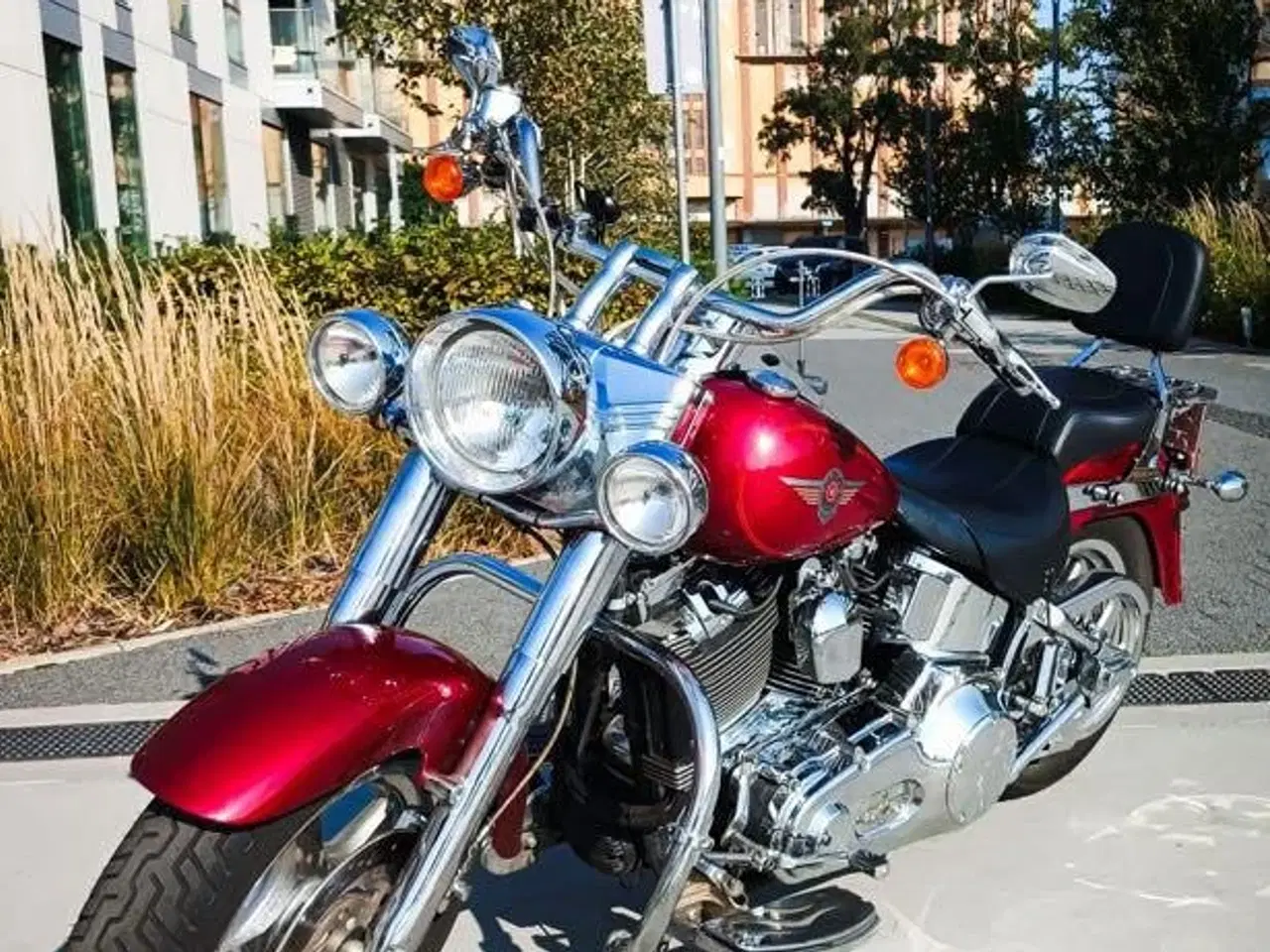 Billede 13 - Harley Davidson fatboy