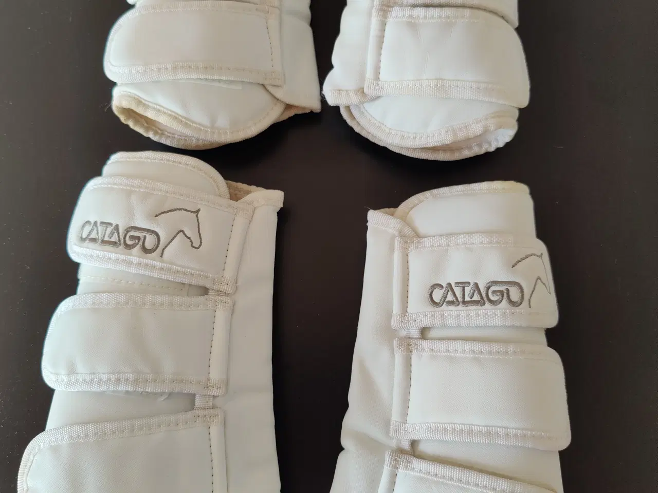 Billede 1 - Dressur gamacher Catago