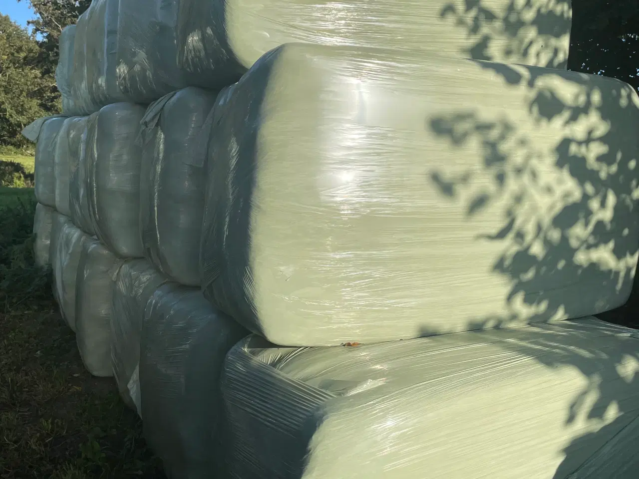 Billede 1 - Hestewrap