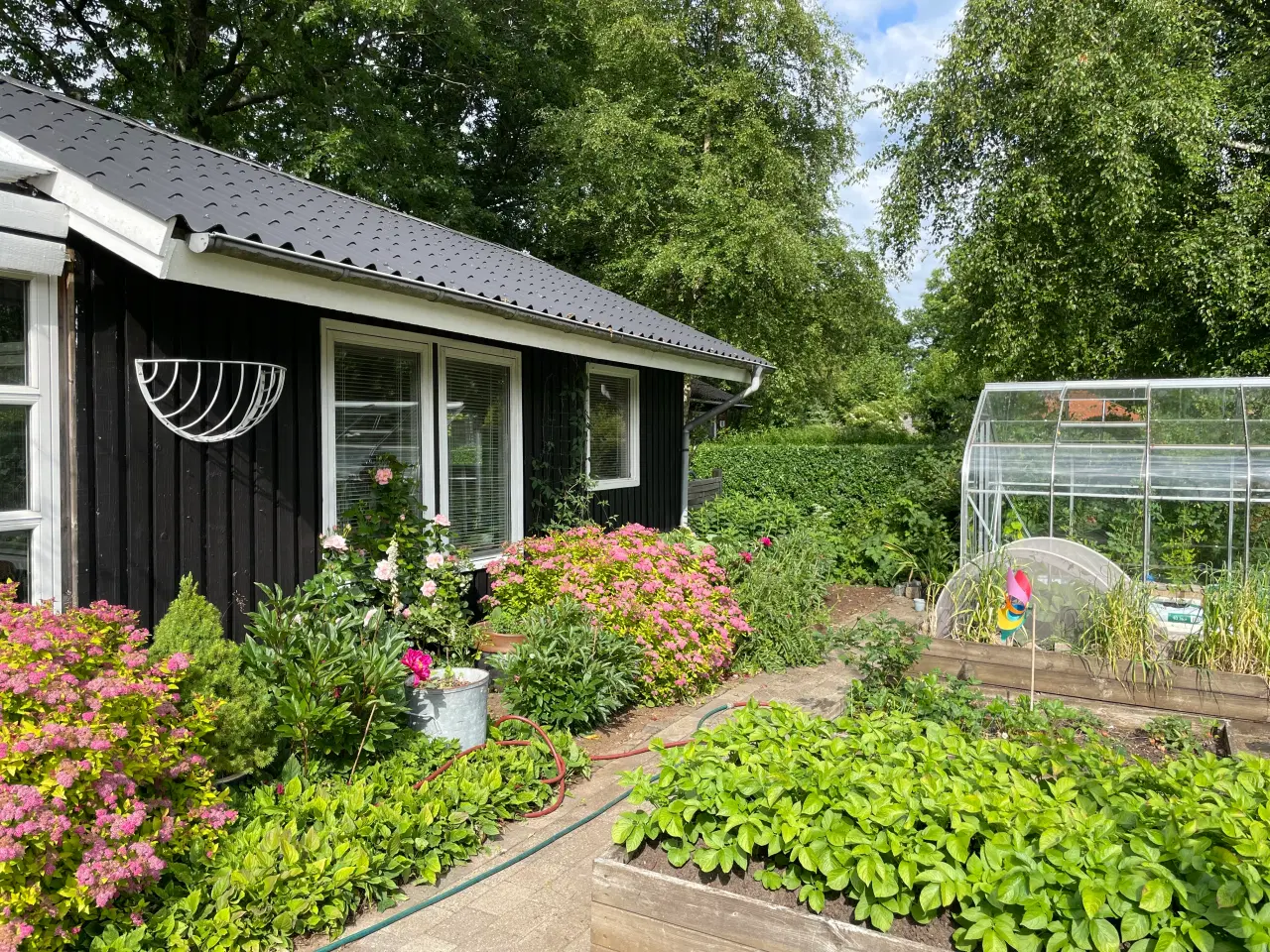 Billede 4 - Kolonihavehus i Herning