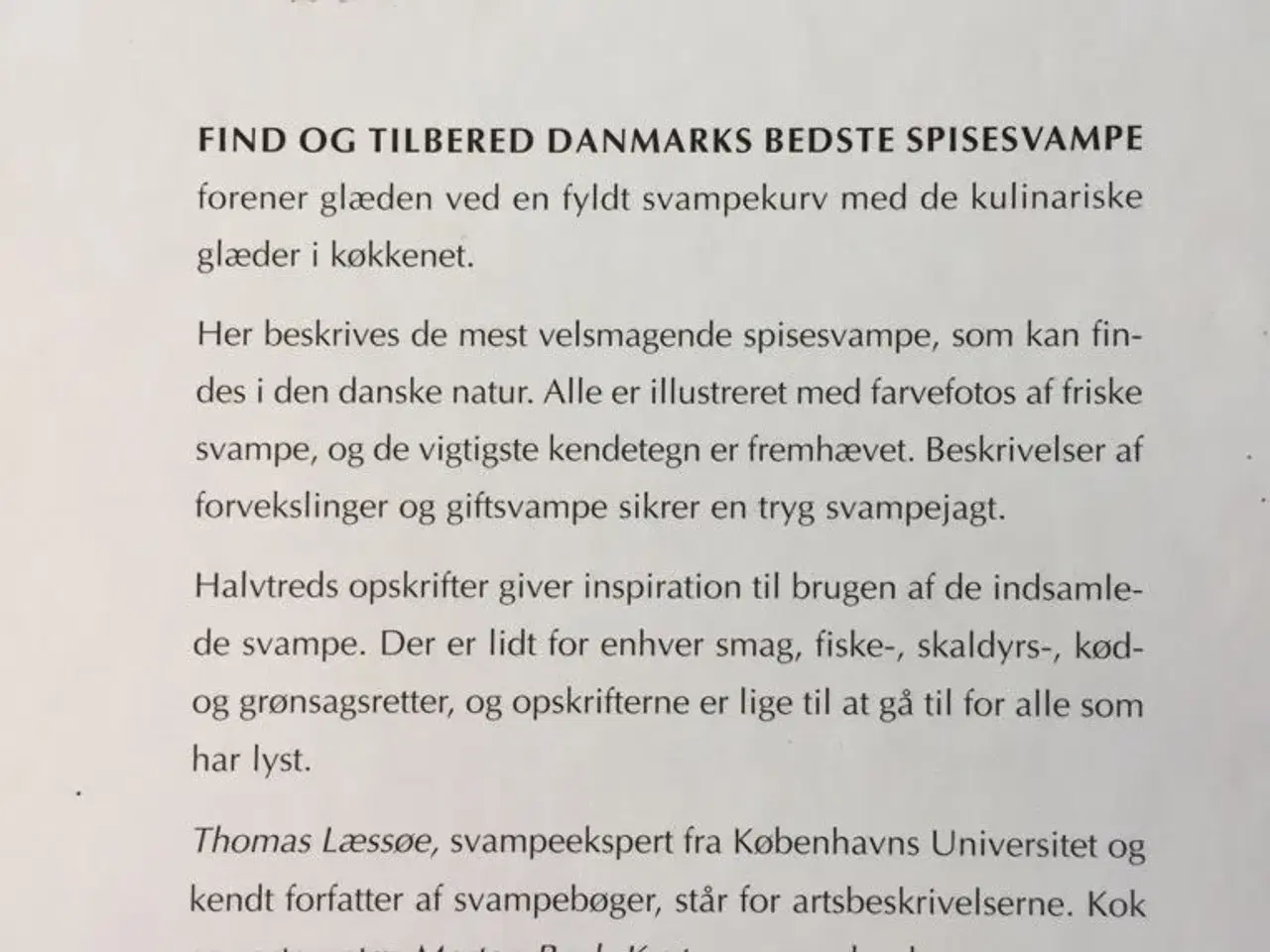 Billede 2 - Danmarks bedste SPISESVAMPE