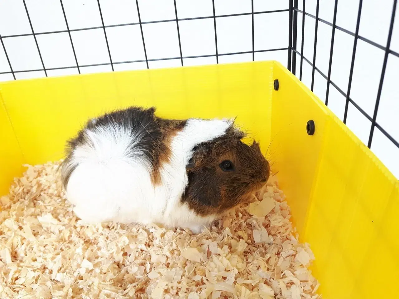 Billede 8 - Gnaverbure – C&C modulbur 4x2 med loft 2x1 og grå rampe