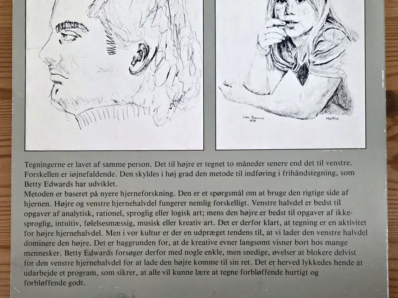 Billede 3 - Lær at tegne  -  danske bøger