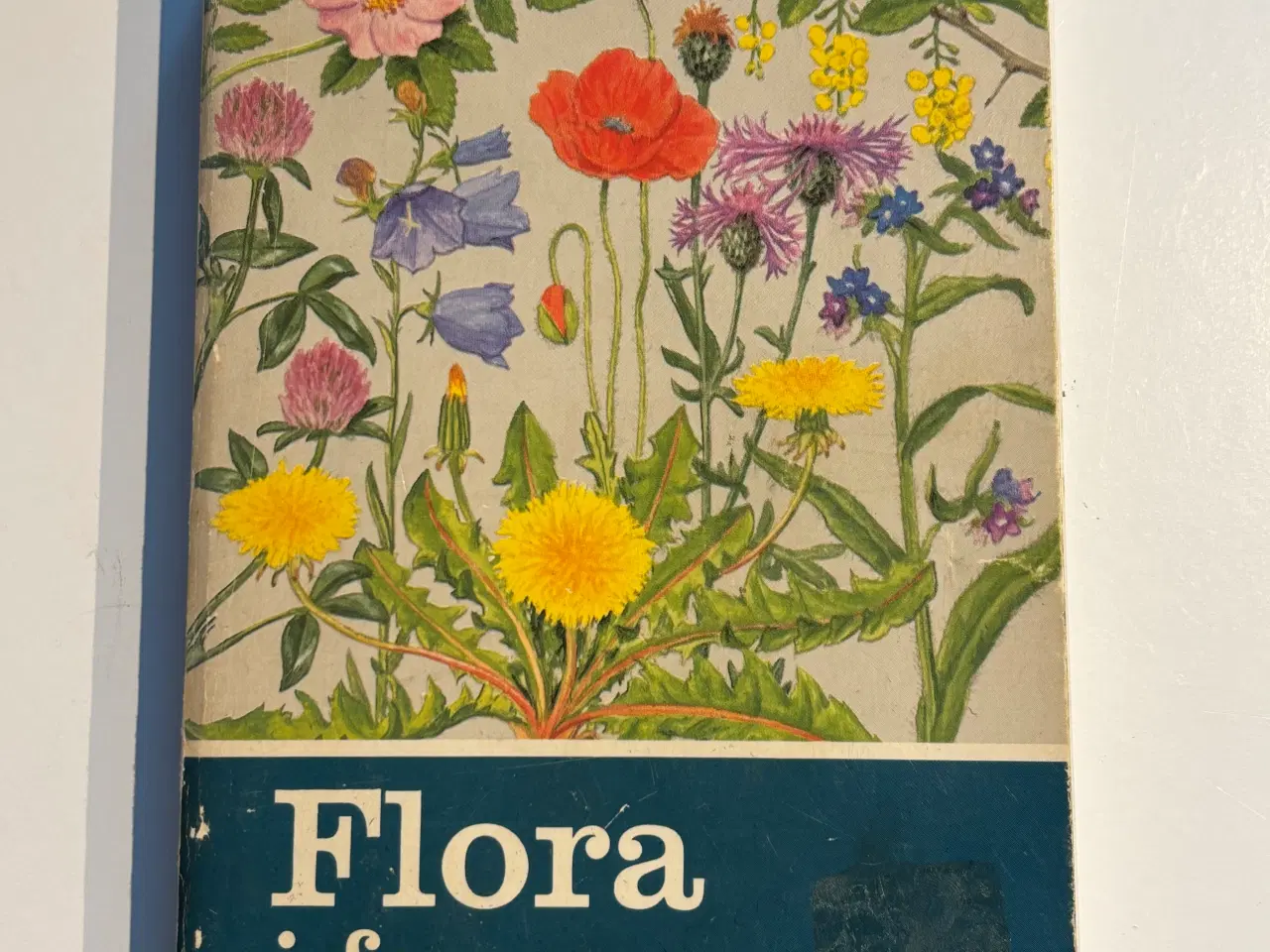 Billede 1 - Bog: Flora i farver 