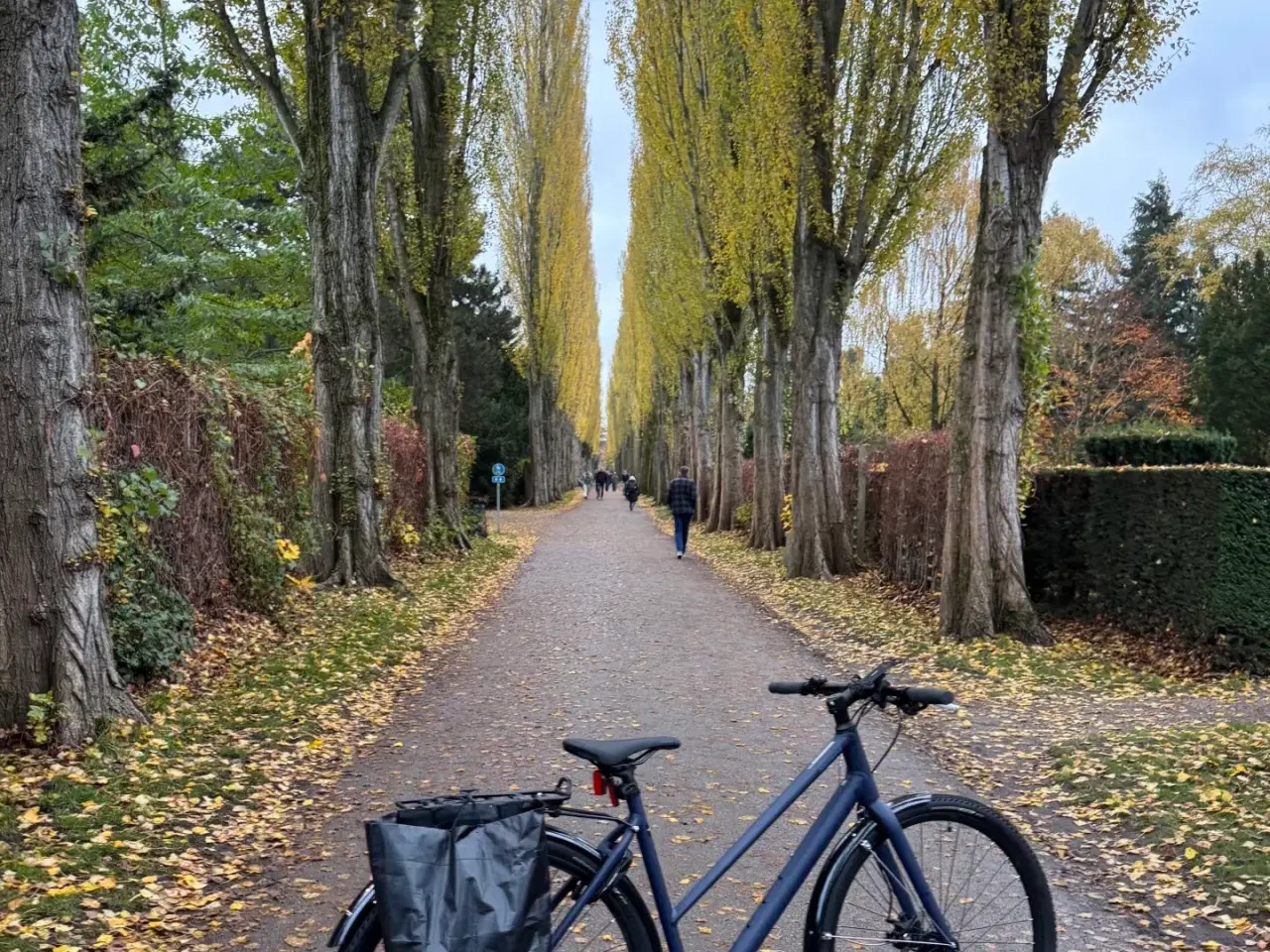 Billede 1 - Specialized Sirrus X 1.0 Cykel inkl. tilbehør