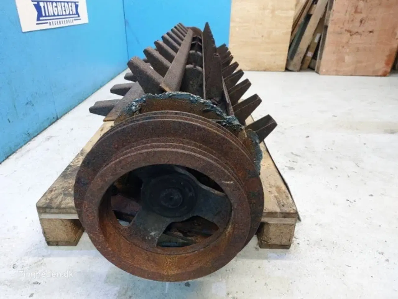 Billede 17 - Massey Ferguson 7274 Kerneudskiller 28380258