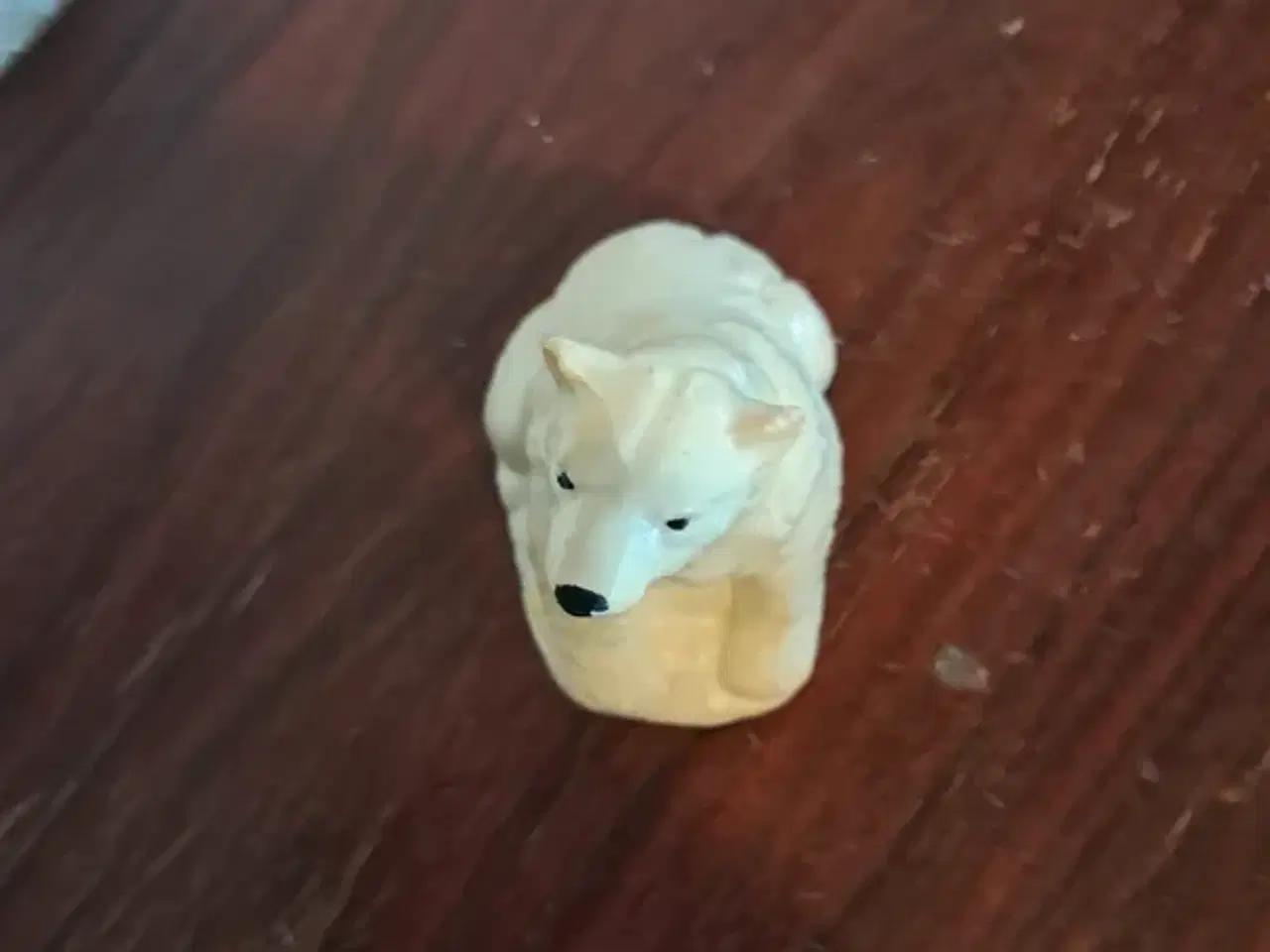 Billede 5 - Isbjørn