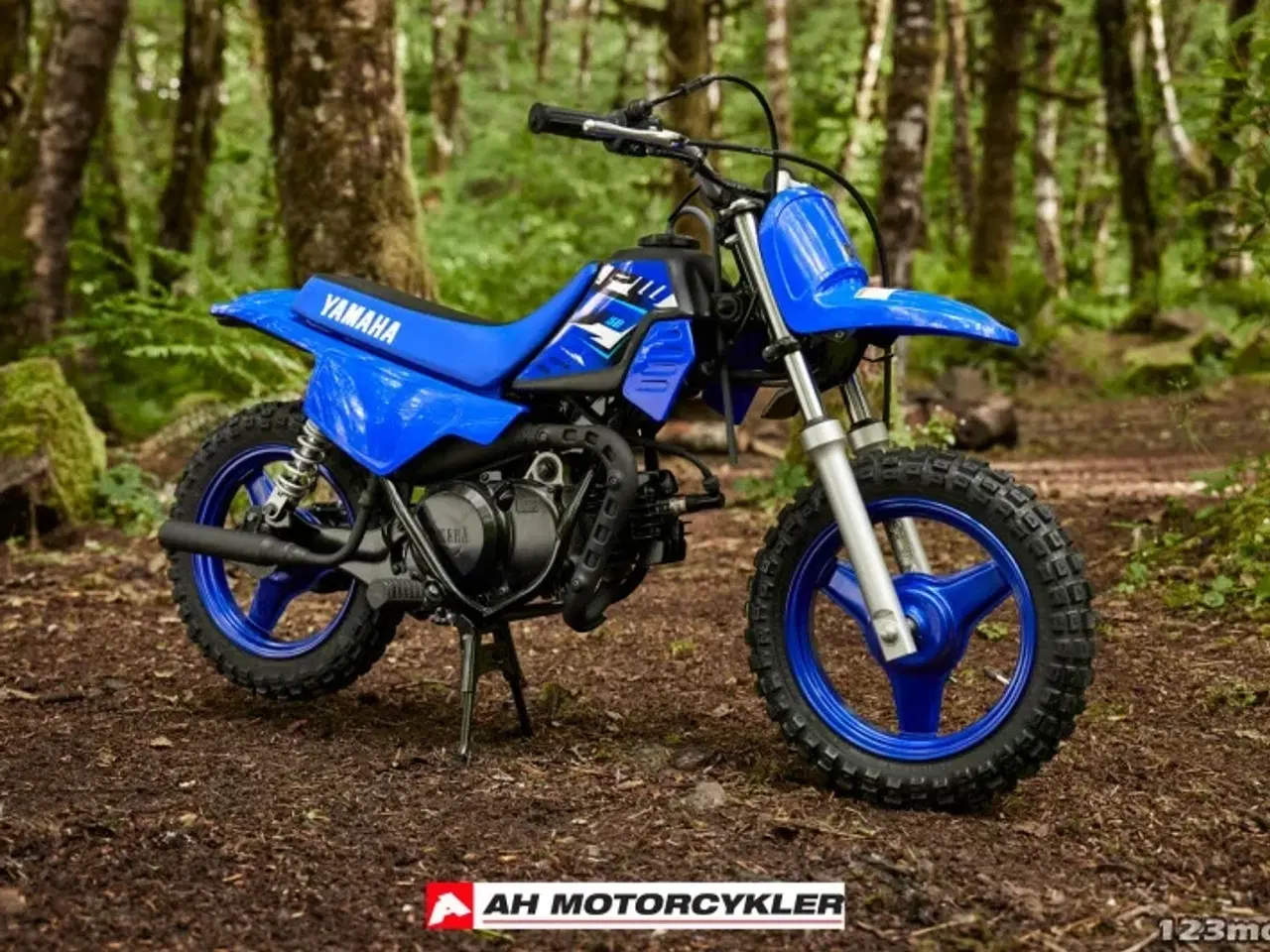 Billede 7 - Yamaha PW 50