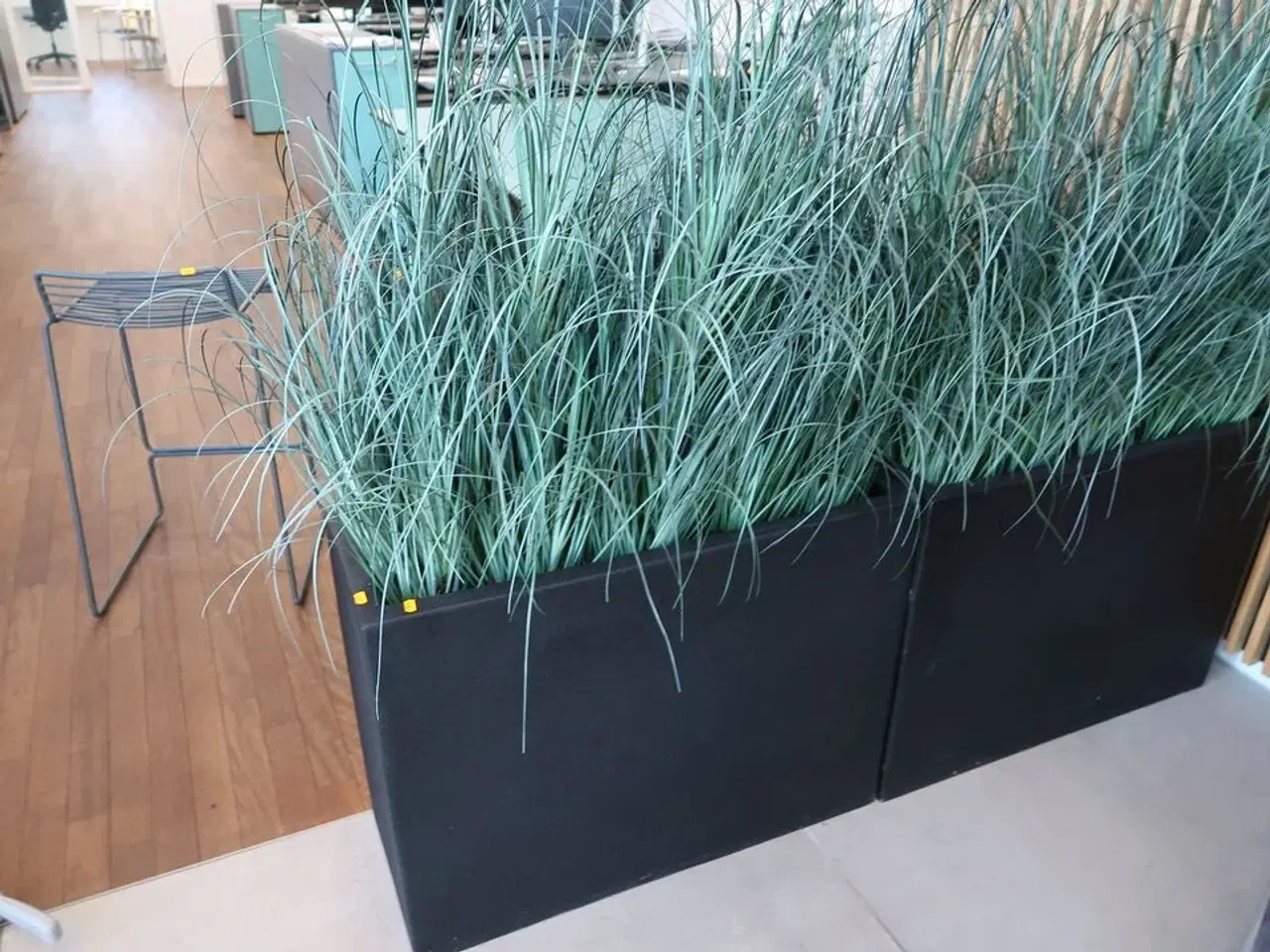 Billede 2 - 2 stk. plantekummer med planter