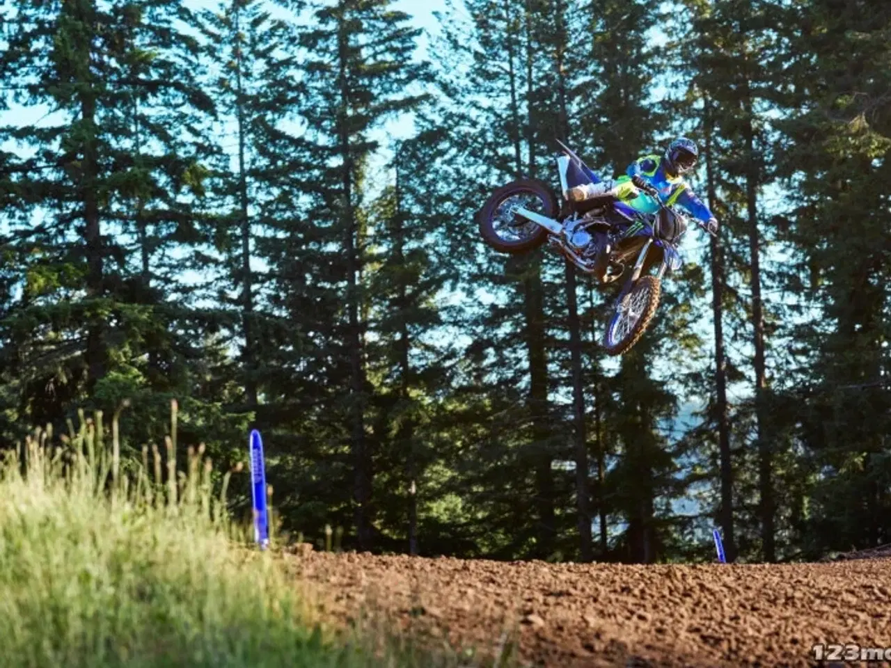 Billede 4 - Yamaha YZ 250 LC Monster Energy Yamaha Racing Edition