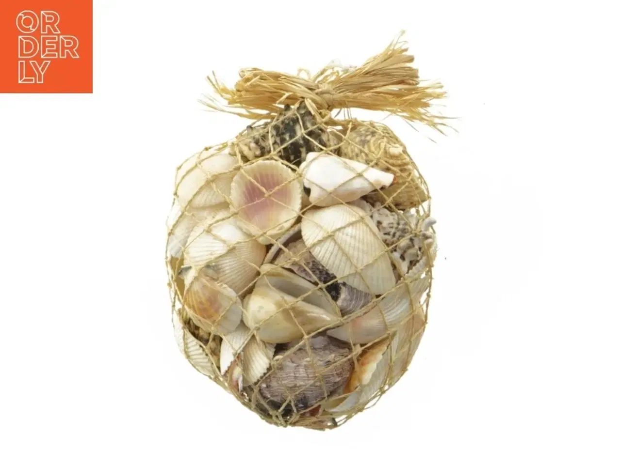 Billede 1 - Dekorative muslingeskaller i net