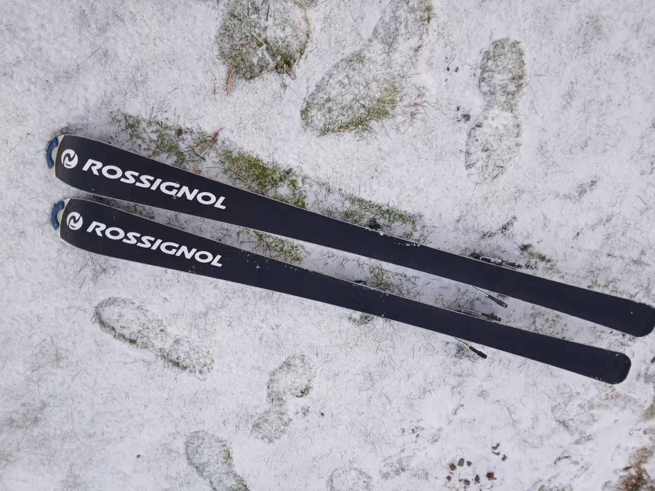 Billede 3 - Rossignol alpinski slalomski carvingski