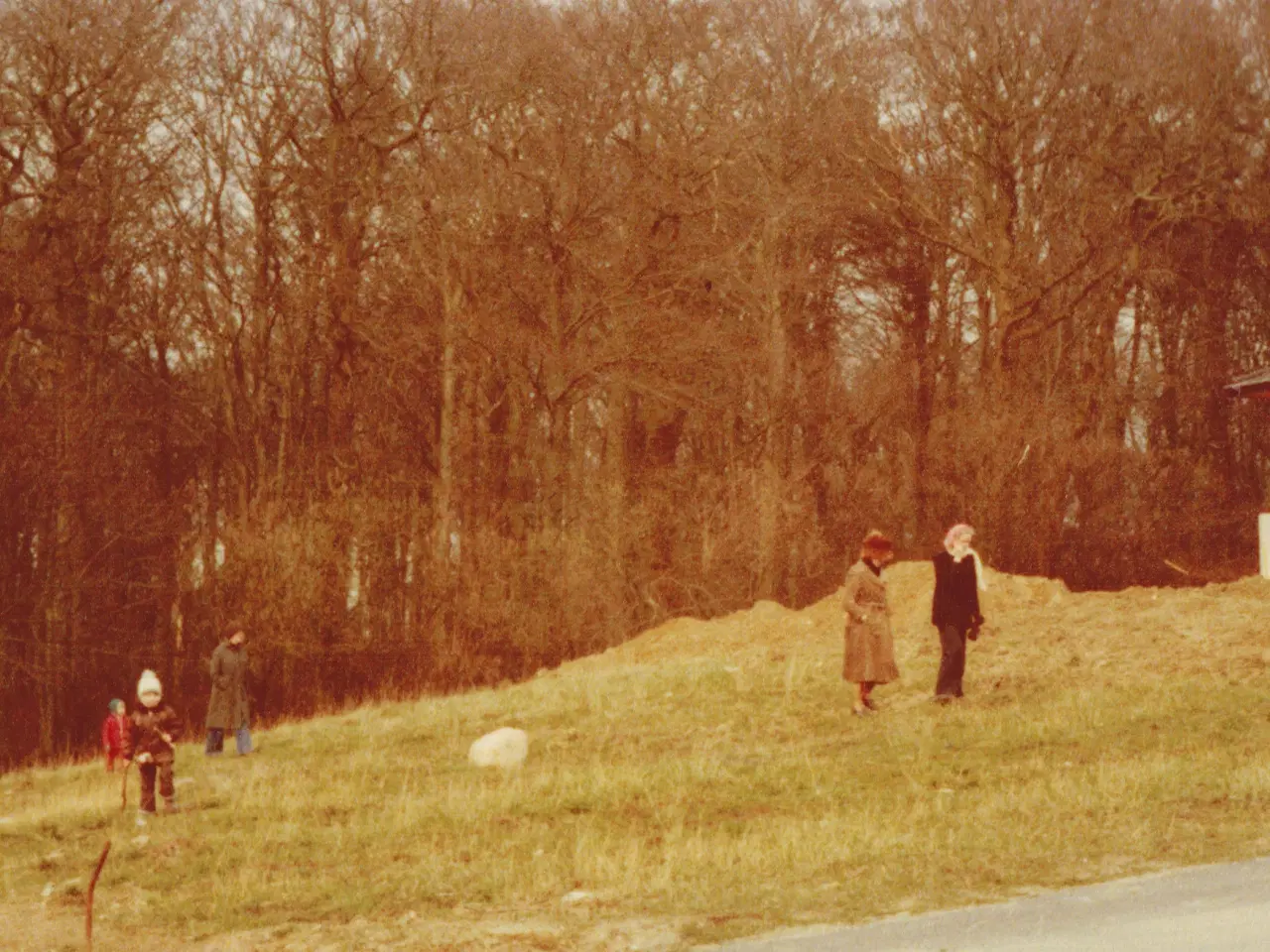 Billede 1 - Byggegrund for liebhaver.