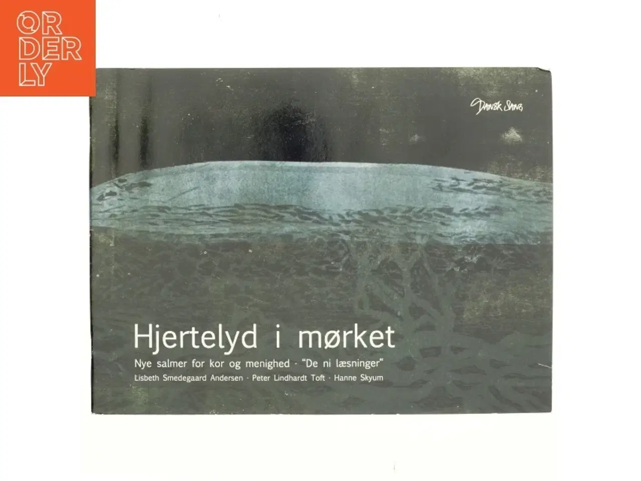 Billede 1 - Hjertelyd i mørket