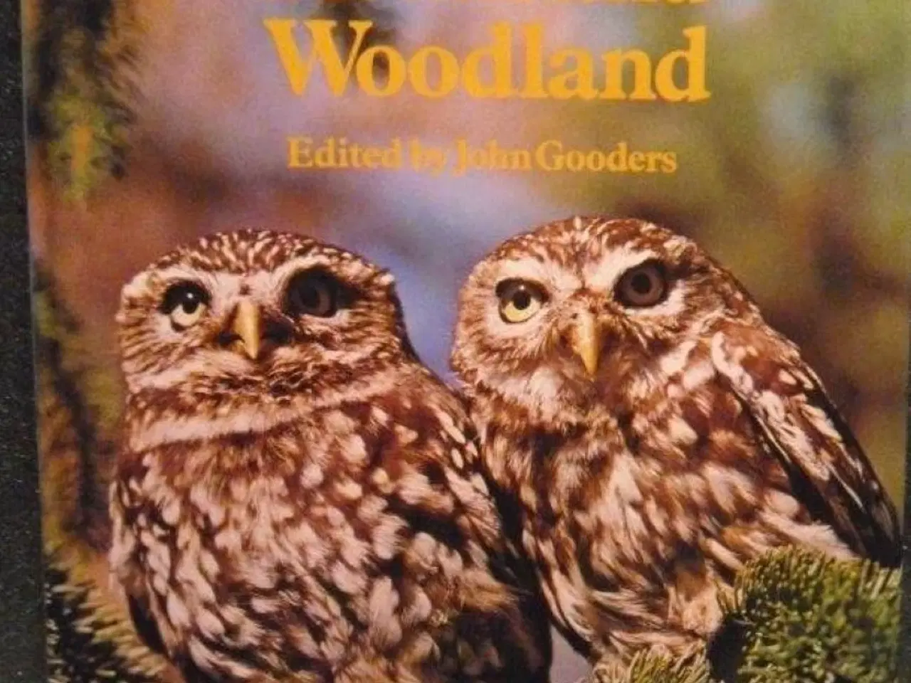 Billede 1 - Birds of Heath and Woodland by John Gooders