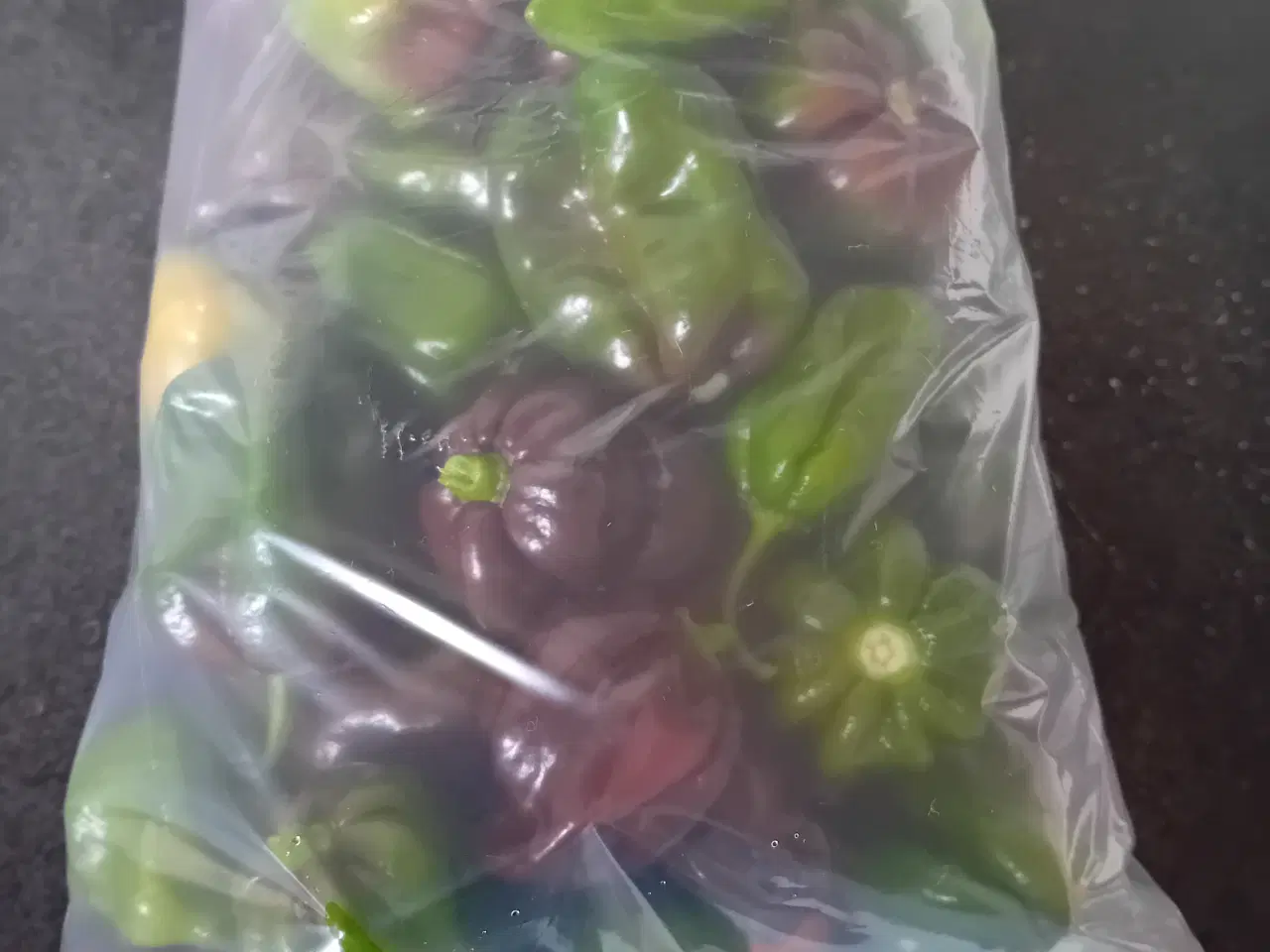 Billede 2 - Habanero chilier 